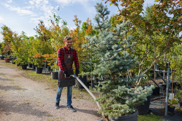 Best Tree Preservation Services  in Linwood, PA